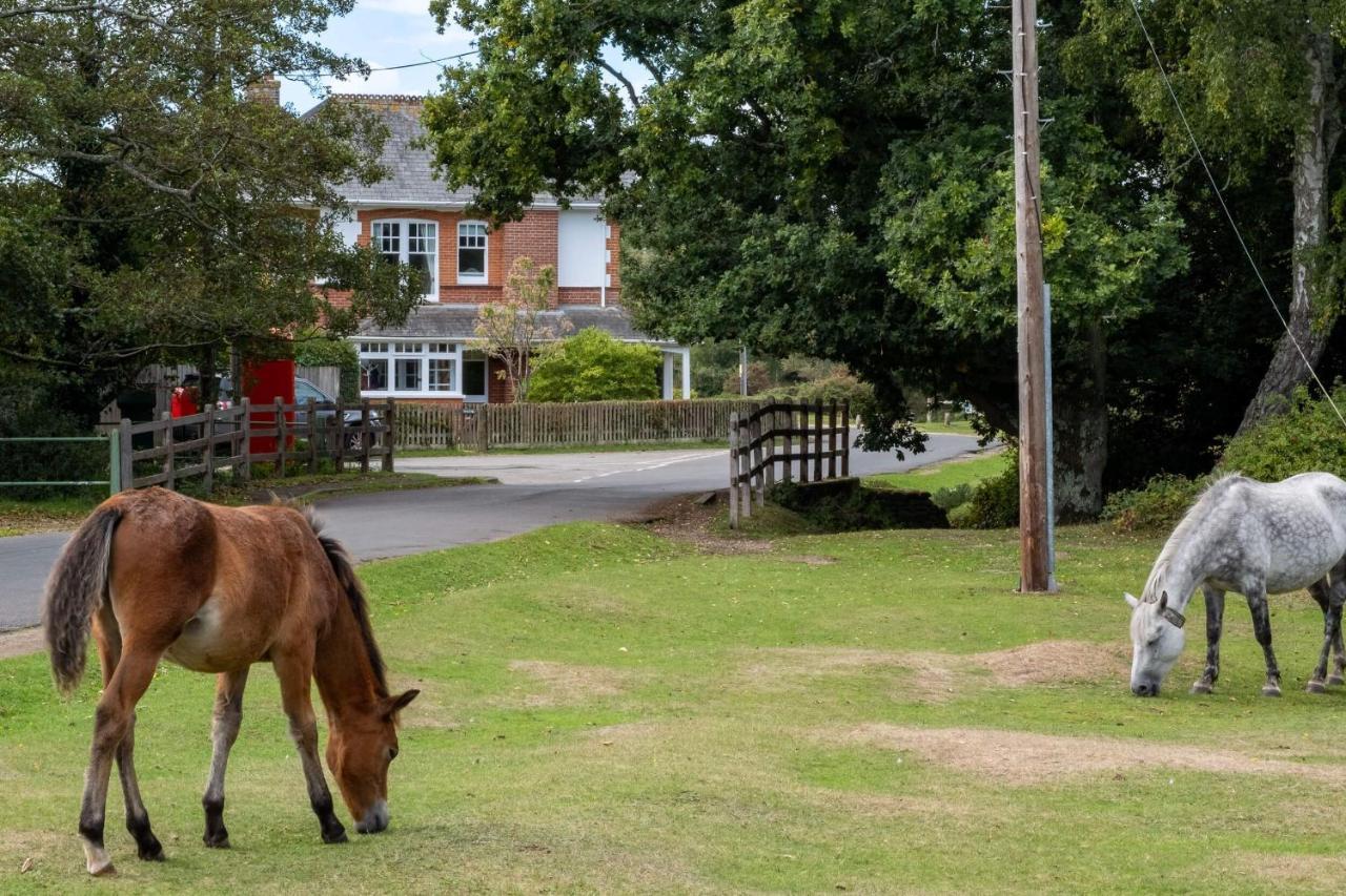 Surrey Lodge Brockenhurst Luaran gambar
